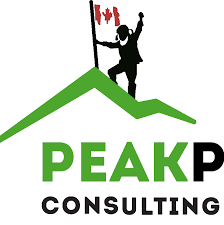 Peak Play Environments Logo